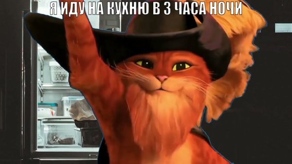 Нам 3 билета на кота в сапогах Мем