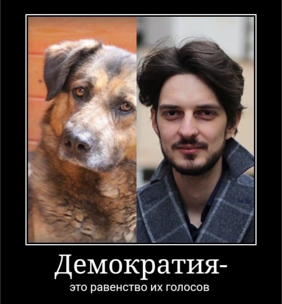 Максим Кац мемы