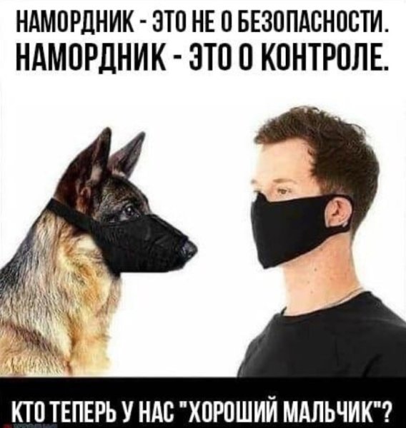 Намордник для собак