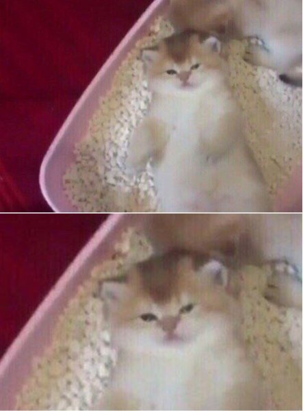 Одумайся Джоне ты лежишь