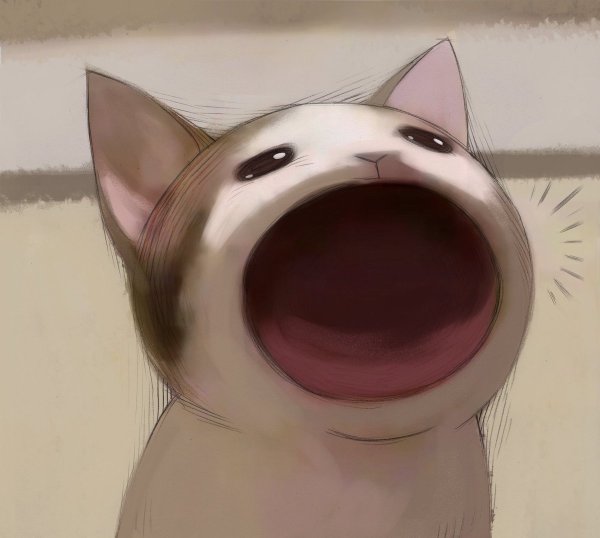 Кричащий кот