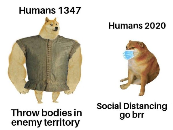 Мемы с собаками собаки раньше и сейчас