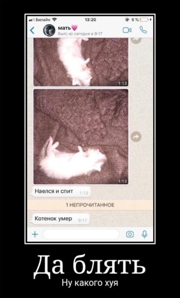 Кот наелся и спит Мем