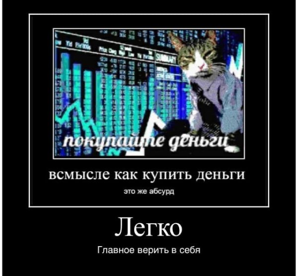 Коты мемы