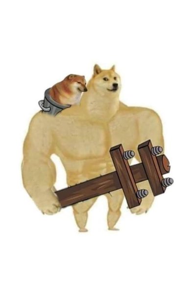 Сиба ину качок