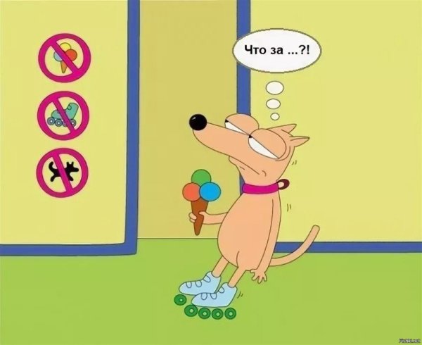 Собака с мороженом на роликом