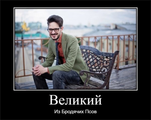 Максим Кац мемы про собаку