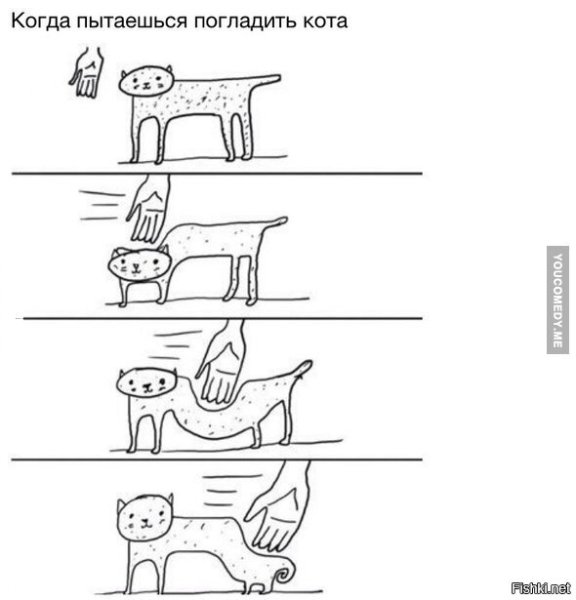 Кота гладят Мем