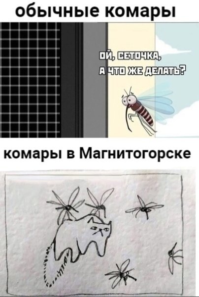 Городские комары и Деревенские