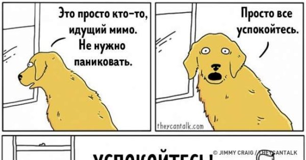 Клмткс слбака успокойтемь