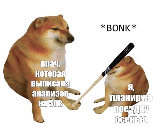 Бонк Мем собака