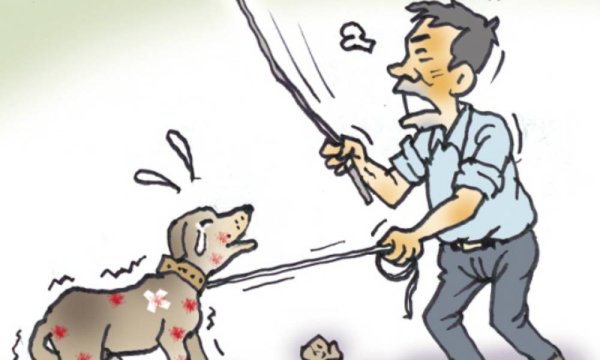 Наказание собаки