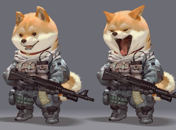 Акита ину Самурай