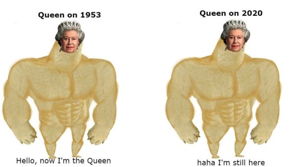 Качок доге мемы