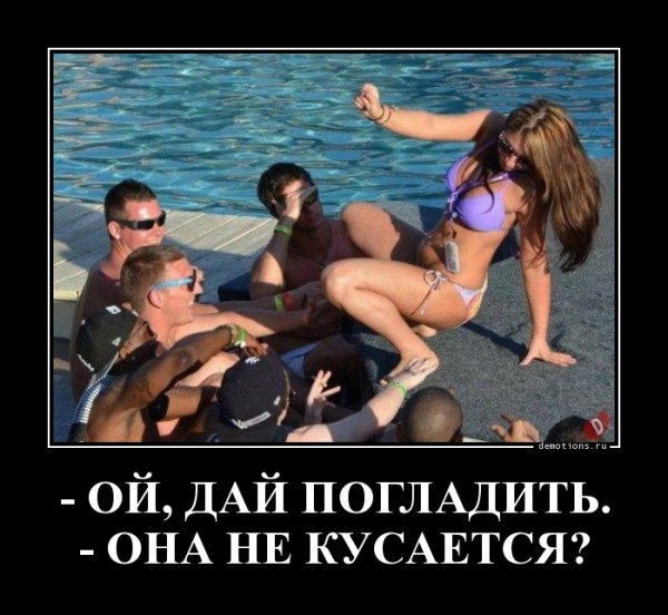 Хозяин сказал он не кусается