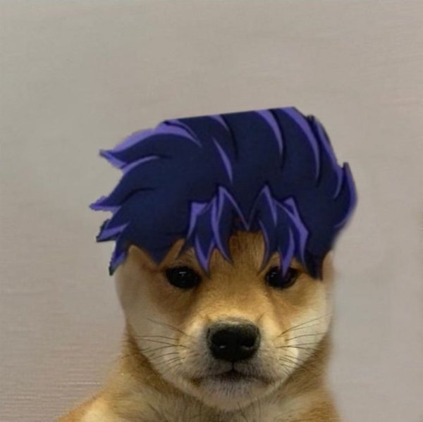 Собака Джоджо Мем