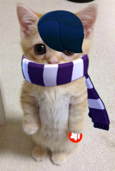 Котики на аву