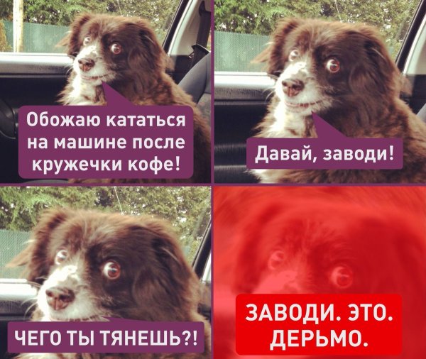 Давай заводи это дерьмо Мем