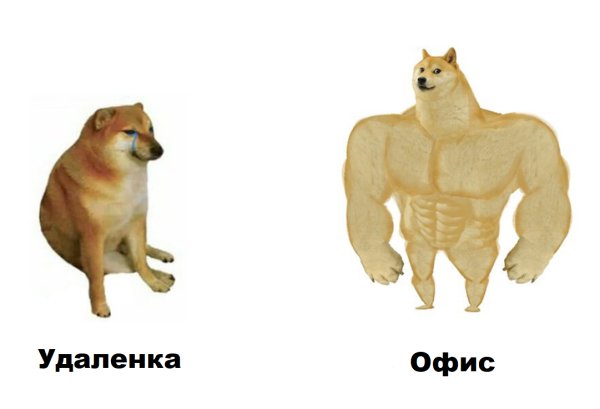 Сильный и слабый пес
