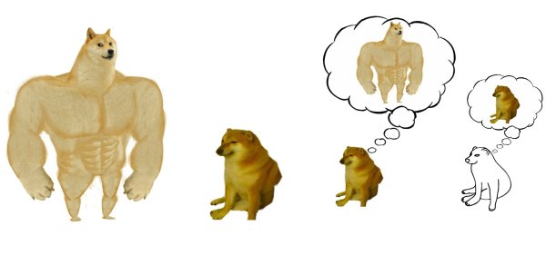 Сиба ину качок