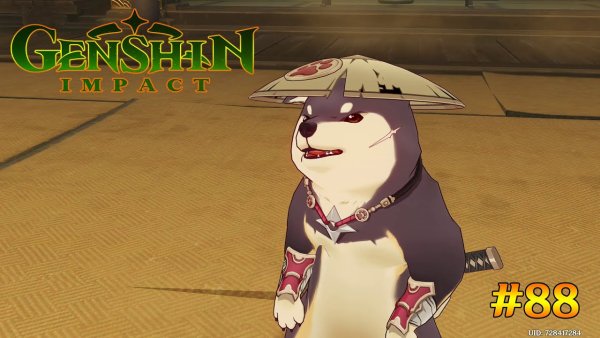 Собаки ниндзя Геншин Импакт