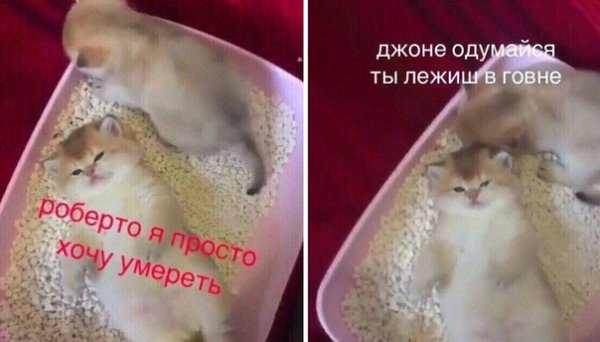 Джонни очнись ты лежишь в