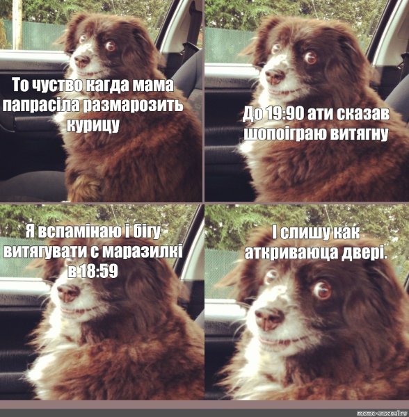 Заводи это дерьмо скорее