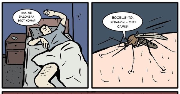 Комар Мем