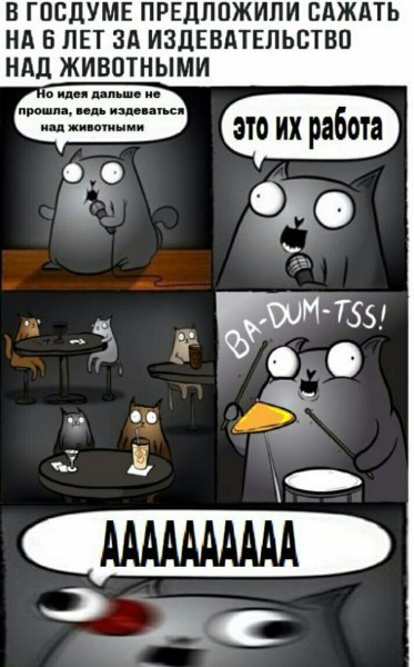 Кот стендапер шутки