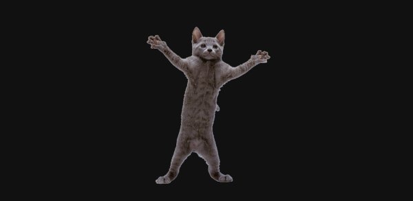 Танцующая кошка