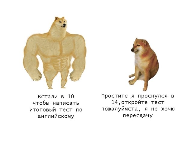 Мем собаки раньше