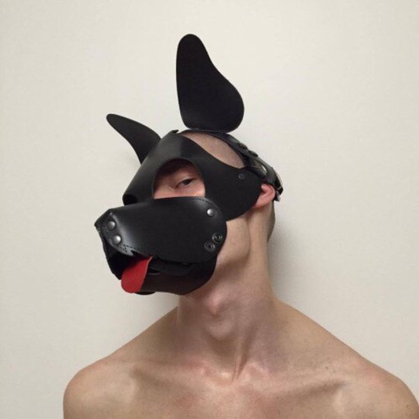 Парень в маске собаки