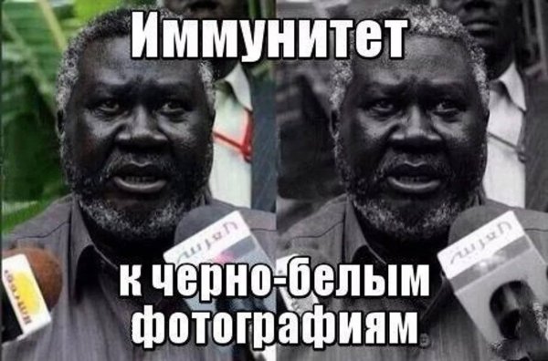 М̸е̸м̸ы̸ п̸р̸о̸ н̸е̸г̸р̸о̸в̸