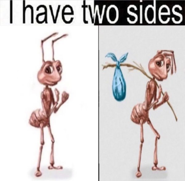 Муравей Мем