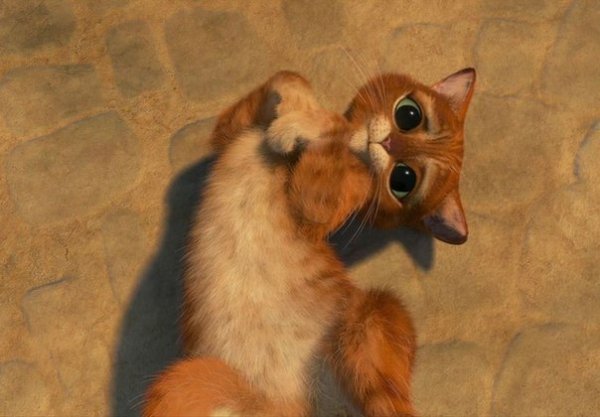 Ну пожалуйста картинки