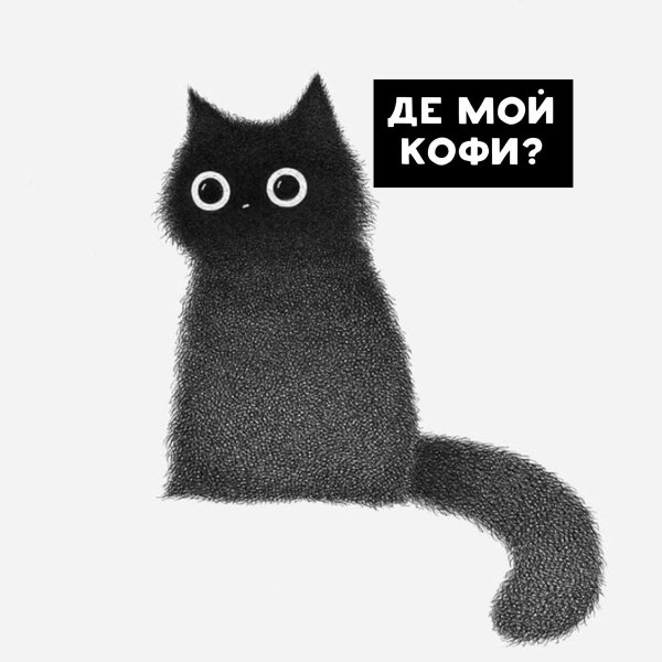 Кофи кот
