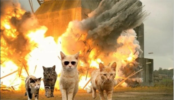 Котенок взрыв