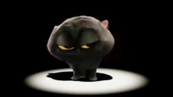 Кот из тик тока
