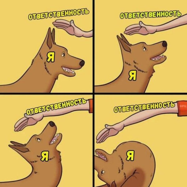 Мемы с собаками