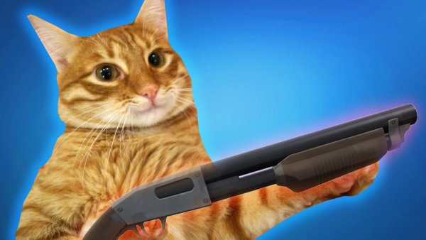 Коты с автоматами