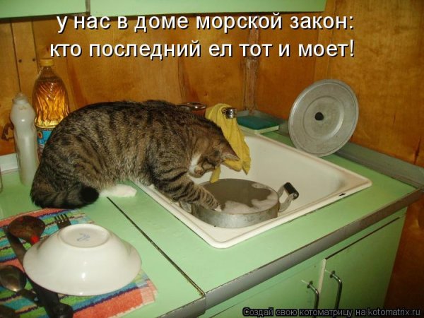 Помой посуду