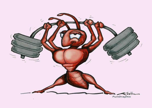 Муравей с котомкой