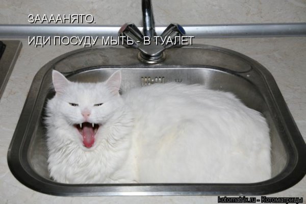 Помой меня посуда