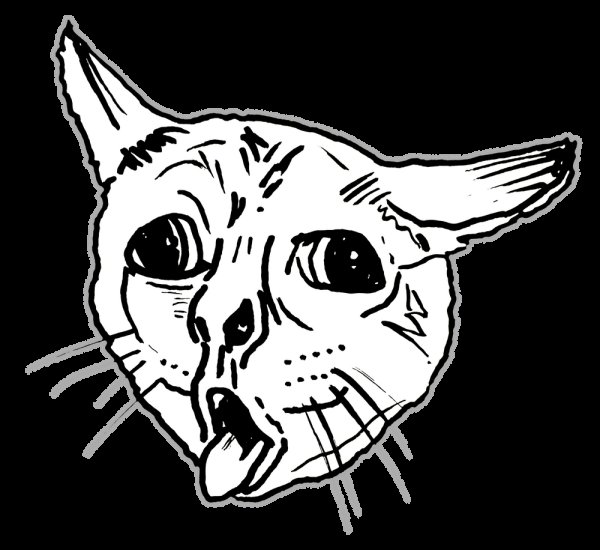 Смешной кот рисунок карандашом