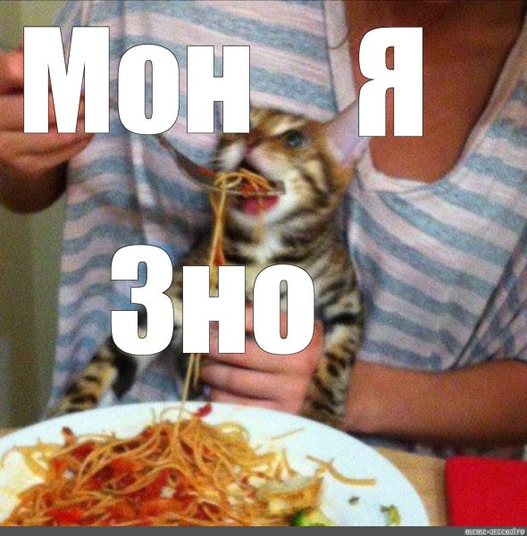 Мем с котом которого кормят