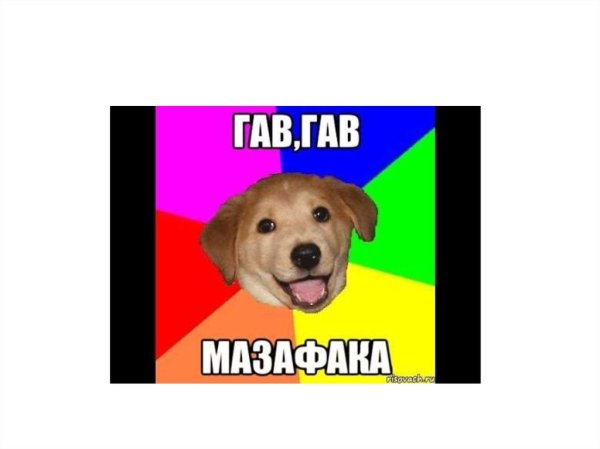 Гав Гав Мем