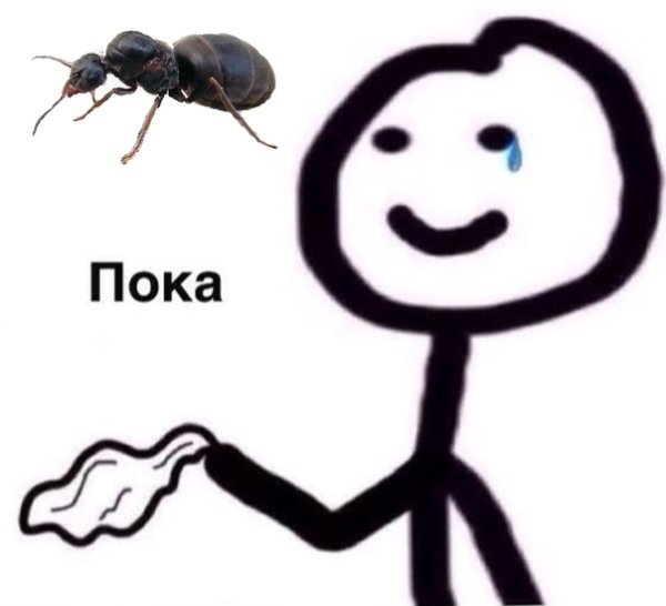 Муравей Мем
