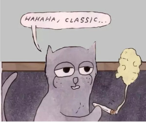 Кот классика