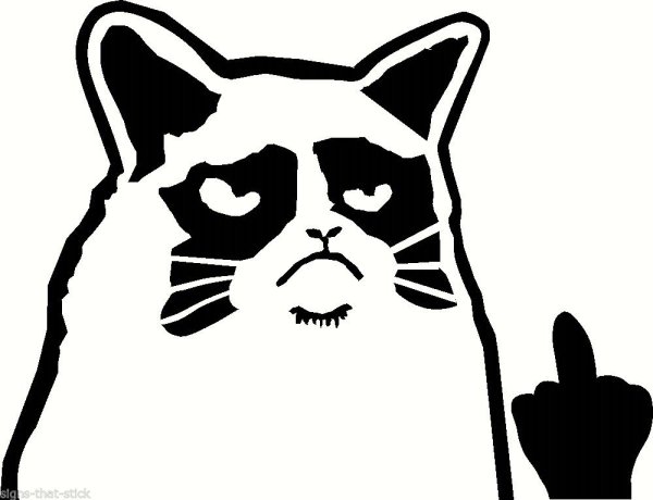 Котик с факом