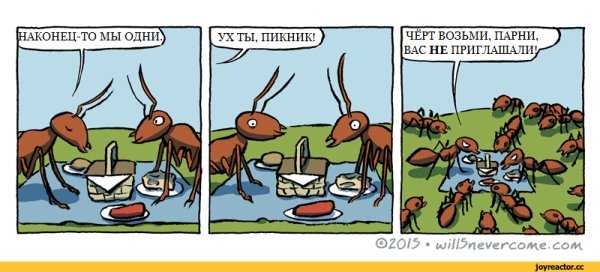 Муравей юмор